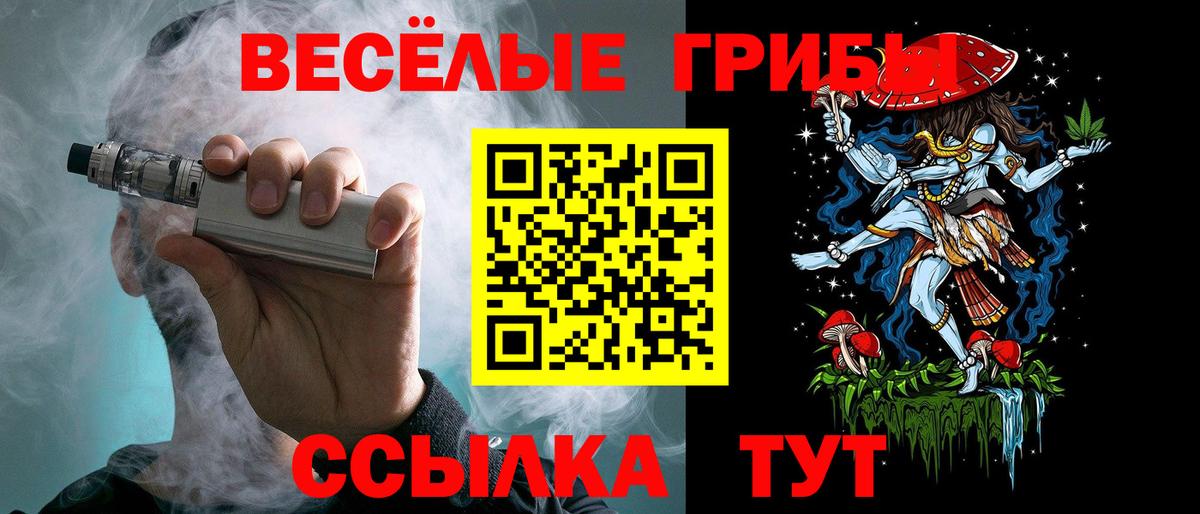 Галлюциногенные грибы ЛСД Гусь-Хрустальный