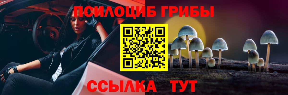 Псилоцибиновые грибы Cubensis  Галлюциногенные грибы Cubensis  Гусь-Хрустальный  Вход с VPN 